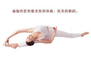 静仪养生瑜伽